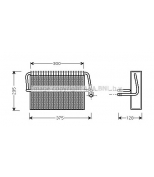 AVA - MSV325 - 