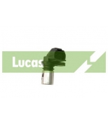 LUCAS - SEB1352 - 
