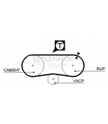 FLENNOR - 4023 - Ремень ГРМ SEAT TERRA,VW POLO 86>