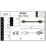 SNRA - R1321 - 