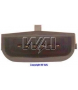 WAI - ICM11 - 