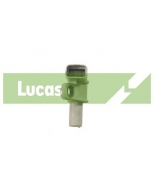 LUCAS - SEB1361 - 