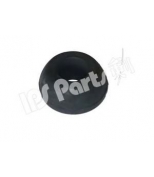 IPS Parts - IRP10513 - 