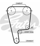 GATES - T226 - Ремень зубчатый T226 155 x 24 (8595-10247)