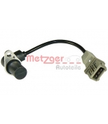 METZGER - 0902239 - 