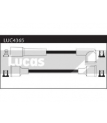 LUCAS - LUC4365 - 