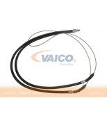 VAICO - V2430008 - 