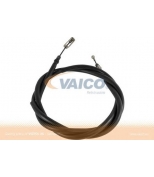 VAICO - V2430018 - 