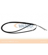 VAICO - V2430059 - 