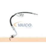 VAICO - V250564 - 