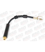BSG - BSG30730012 - Шланг тормозной передний TRANSIT CONNECT