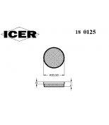 ICER - 180125 - 