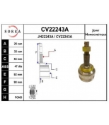 EAI - CV22243AK - 