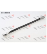 FTE - 255E663E0 - 