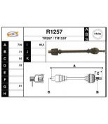 SNRA - R1257 - 